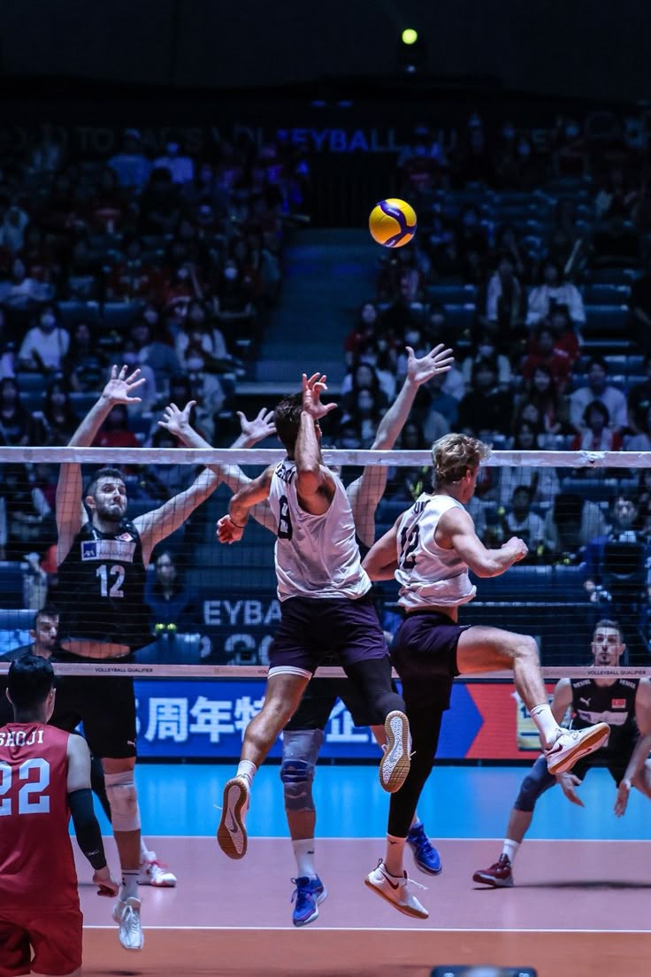 Volleyball